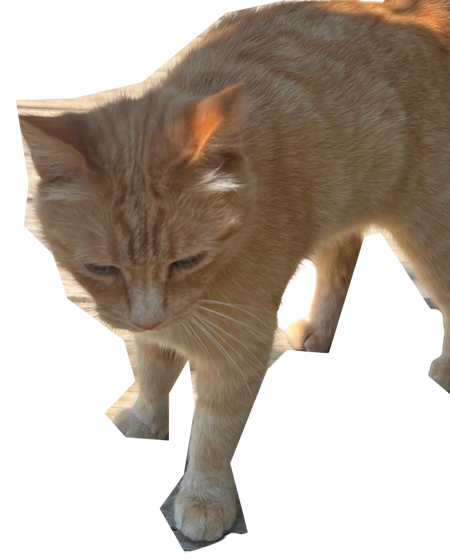 SWF2000's Avatar