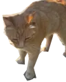 SWF2000's Avatar