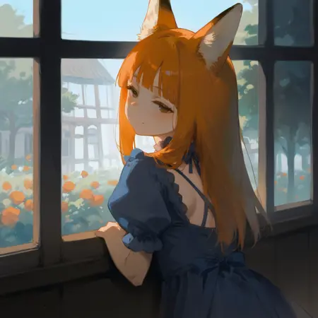 View from inside the window