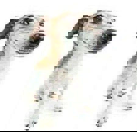 sanonsee's Avatar