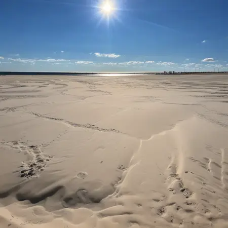 Waves and Beach