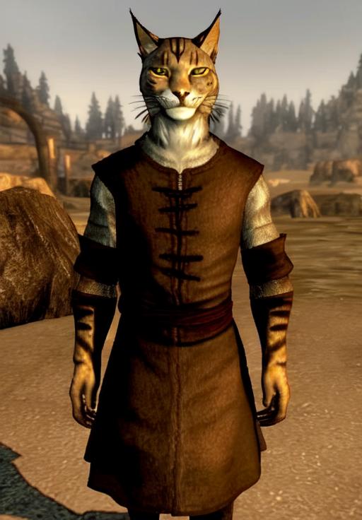 Khajiit - Skyrim (Character Style) image by AsaTyr