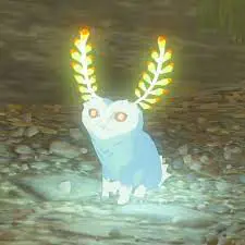 kakadu's Avatar
