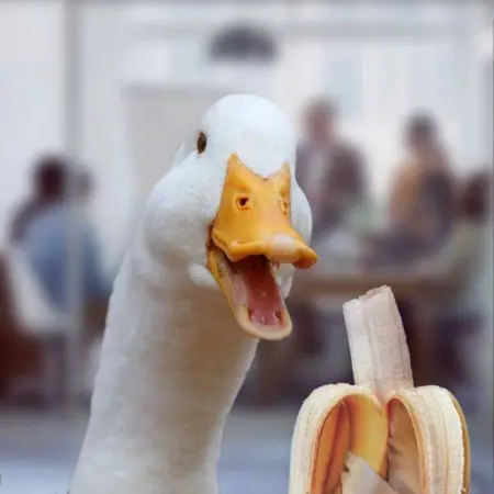 LarryLongNut's Avatar