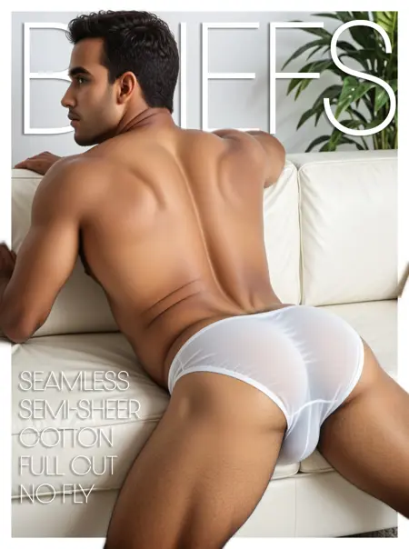 BRIEFS
