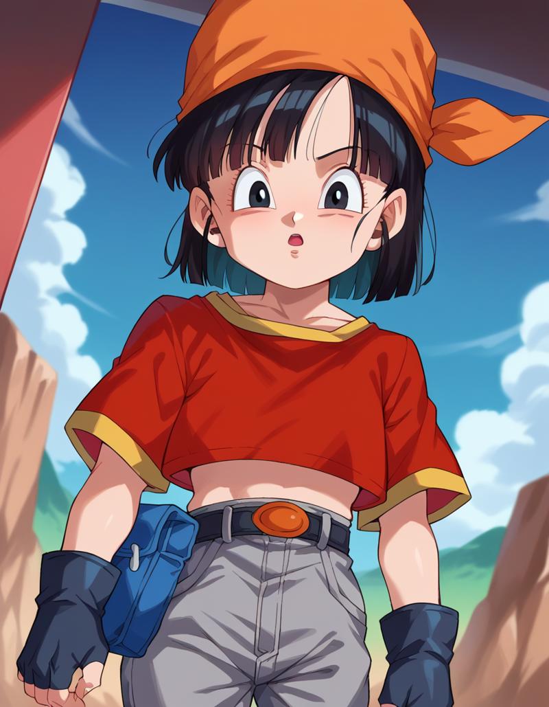 dragonballpan-42541-3801117176.png