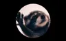 hereForModels's Avatar