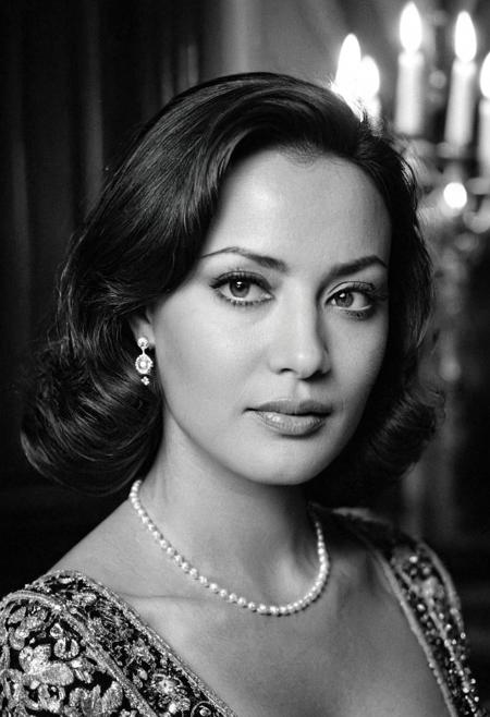 cinematic photo of aan american movie diva of the 50s, 35 years old, ((detailed face, detailed eyes)),perfecteyes, half face in shadow, french court dress, inside versaille,candlelight, ((dimly lit)), ((low key lighting)), rim lighting, ((back lighting)), kodak tri-x 320 on 12mm wide angle lens, faded, pixelated, grainy, blurry, <lora:realistic_eyes:1>