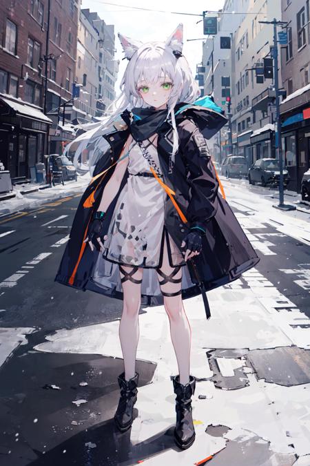 rosmontis, 1girl, green eyes, animal ears, cat girl, long hair, bangs, cat ears, animal ear fluff, white_hair, flat chest,
boots, black footwear,dress, white dress, gloves, jacket on shoulders, jacket, fingerless gloves, coat, open clothes, black gloves, open coat, earpiece, black thigh strap,
standing, full body, snow, city, winter, detailed background,
 <lora:C_rosmontis:0.9>