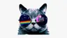 hil0's Avatar