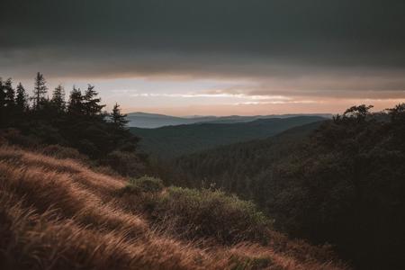 raw photo, a sunset landscape, Valdivian temperate forests, Chilean forest,  cozy, photorealistic, high detailed texture, 8k uhd, dslr, soft lighting, high quality, film grain, Fujifilm XT3, Sony A7 IV, highly detailed photography, (muted colors, cinematic, dim colors, soothing tones:1.2), vibrant, insanely detailed, hyperdetailed, (dark shot:1.2), (vsco:0.3), (intricate details:0.9), (hdr, hyperdetailed:1.2) (highest coherency: 1.39) (highest quality: 1.39) (rule of Thirds) (award winning) (breathtaking) (masterclass) (vibrant color: 0.79) (raining)