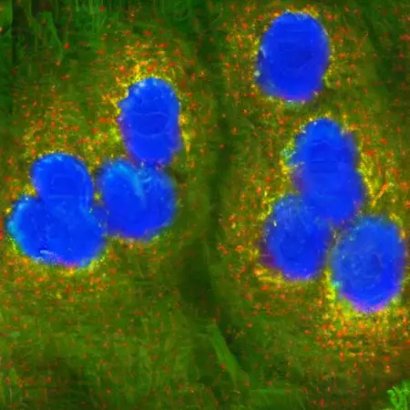 HCMV GlowFlow