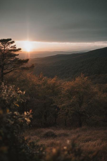 raw photo, a sunset landscape, Valdivian temperate forests, Chilean forest,  cozy, photorealistic, high detailed texture, 8k uhd, dslr, soft lighting, high quality, film grain, Fujifilm XT3, Sony A7 IV, highly detailed photography, (muted colors, cinematic, dim colors, soothing tones:1.2), vibrant, insanely detailed, hyperdetailed, (dark shot:1.2), (vsco:0.3), (intricate details:0.9), (hdr, hyperdetailed:1.2) (highest coherency: 1.39) (highest quality: 1.39) (rule of Thirds) (award winning) (breathtaking) (masterclass) (vibrant color: 0.79) (overcast)