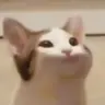 Dwarrr's Avatar