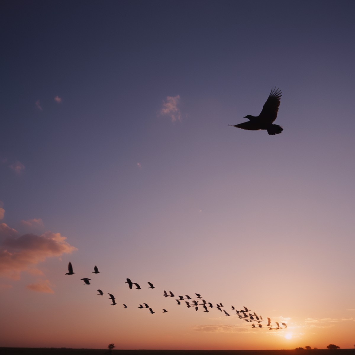 cinematic film still of  <lora:silhouette style:1>
A silhouette photo of a flock of birds flying in the sky,outdoors,sky,c...
