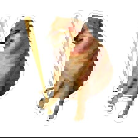 Bonk_'s Avatar