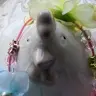 edwios's Avatar