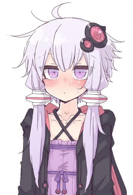 miri 1m style NoobAI / Illustrious v1.0