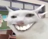 Sofakles's Avatar