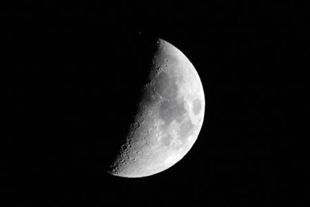 vulpeculacum725's Avatar