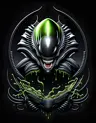 Vinyage_Guy's Avatar