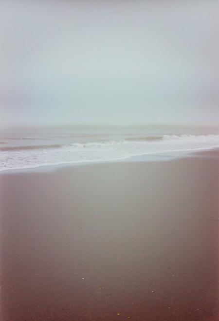 soaked_seasalt,  instagram photo, a foggy beach, hard shadows, film grain