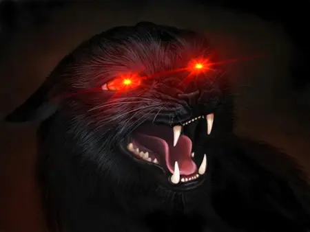 Azuki900's Avatar