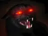 Azuki900's Avatar