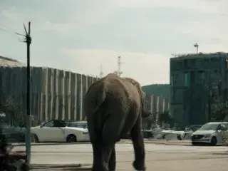 Simple GGUF Hunyuan text2video workflow