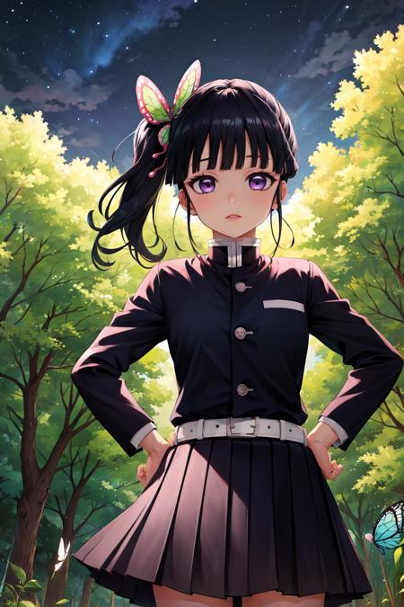 masterpiece, best quality, highres,
kanaodef, 1girl, solo, purple eyes, black hair, long hair, blunt bangs, bangs, hair ornament, bug, butterfly, side ponytail, butterfly hair ornament, 
skirt, long sleeves, jacket, pleated skirt, belt, black skirt, knee, buckle, sheathed, belt buckle, white belt, demon slayer uniform, tsuyuri kanao, kimetsu no yaiba, 
<lora:LoRA_Kanao:1>, upper body, looking at viewer, hands on hips, outdoors, forest, field, night, night sky, starry sky,