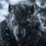 DrWerewolf's Avatar