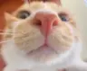glznps's Avatar