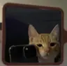 daystar69's Avatar