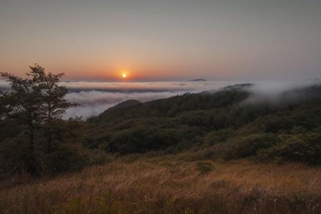 raw photo, a sunset landscape, Valdivian temperate forests, Chilean forest,  cozy, photorealistic, high detailed texture, 8k uhd, dslr, soft lighting, high quality, film grain, Fujifilm XT3, Sony A7 IV, highly detailed photography, (muted colors, cinematic, dim colors, soothing tones:1.2), vibrant, insanely detailed, hyperdetailed, (dark shot:1.2), (vsco:0.3), (intricate details:0.9), (hdr, hyperdetailed:1.2) (highest coherency: 1.39) (highest quality: 1.39) (rule of Thirds) (award winning) (breathtaking) (masterclass) (vibrant color: 0.79) (foggy: 1.29)
