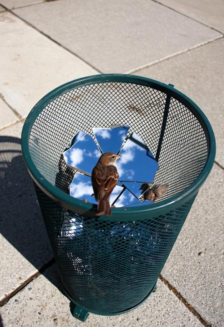 Prompt: A street-level, eye-level shot of a dark green, cylindrical metal mesh trash can sitting on a concrete sidewalk. Inside the trash can, several pieces of a broken mirror reflect a bright blue sky with fluffy white clouds. A small brown sparrow with darker streaks sits perched on the rim of the trash can, looking towards the reflected sky within the mirror shards. The sunlight casts a shadow of the trash can and the bird onto the sidewalk.