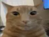Yokasolar's Avatar