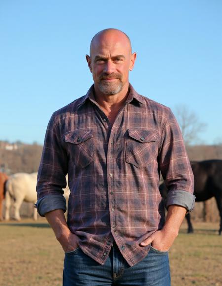 Christopher Meloni FLUX V1