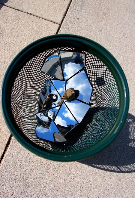 Prompt: A street-level, eye-level shot of a dark green, cylindrical metal mesh trash can sitting on a concrete sidewalk. Inside the trash can, several pieces of a broken mirror reflect a bright blue sky with fluffy white clouds. A small brown sparrow with darker streaks sits perched on the rim of the trash can, looking towards the reflected sky within the mirror shards. The sunlight casts a shadow of the trash can and the bird onto the sidewalk.