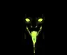 darkey___'s Avatar