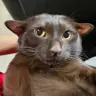 doomkrussian's Avatar