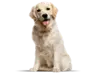 jey372jsbe9's Avatar