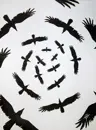 shaka_laka's Avatar