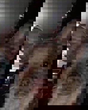 SloppyHorse69420's Avatar