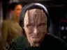 GayLizardSpy's Avatar