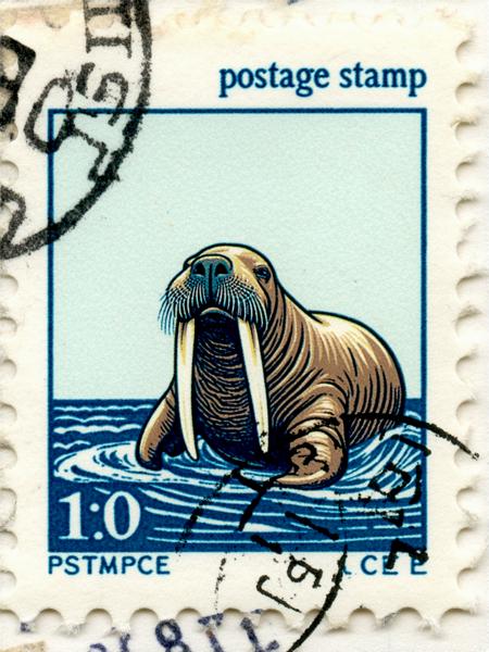 Postage Stamp - CE V01 - SD3
