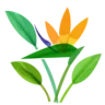 Abelia_Strelitzia's Avatar