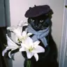 Fibon4cci's Avatar