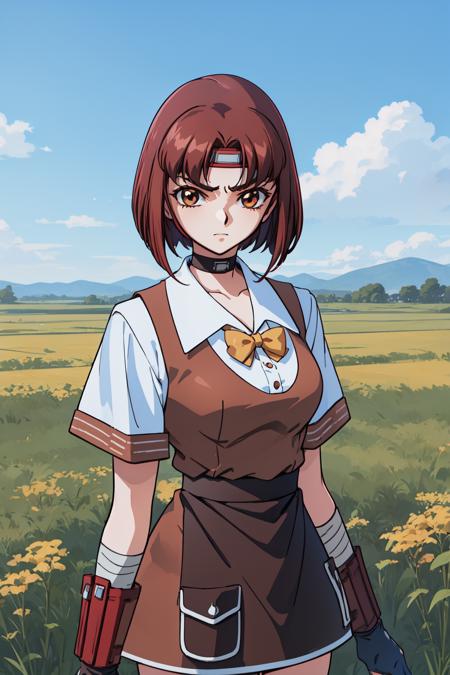 1girl, (field:1.2), cowboy shot, serious, 
vg_chiho, brown eyes, brown hair, short hair, bangs, headband, choker, gloves, bowtie, apron, short sleeves, skirt, bandages, <lora:VG_chiho_lora_ver1:0.7>, best quality, masterpiece, highres, <lora:GoodHands-vanilla:1>