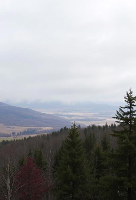 December landscape.