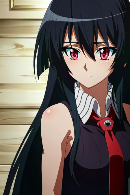 Akame | Akame Ga Kill!